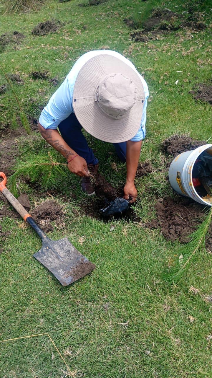 Inician reforestación en el Cerro de Xalapasco