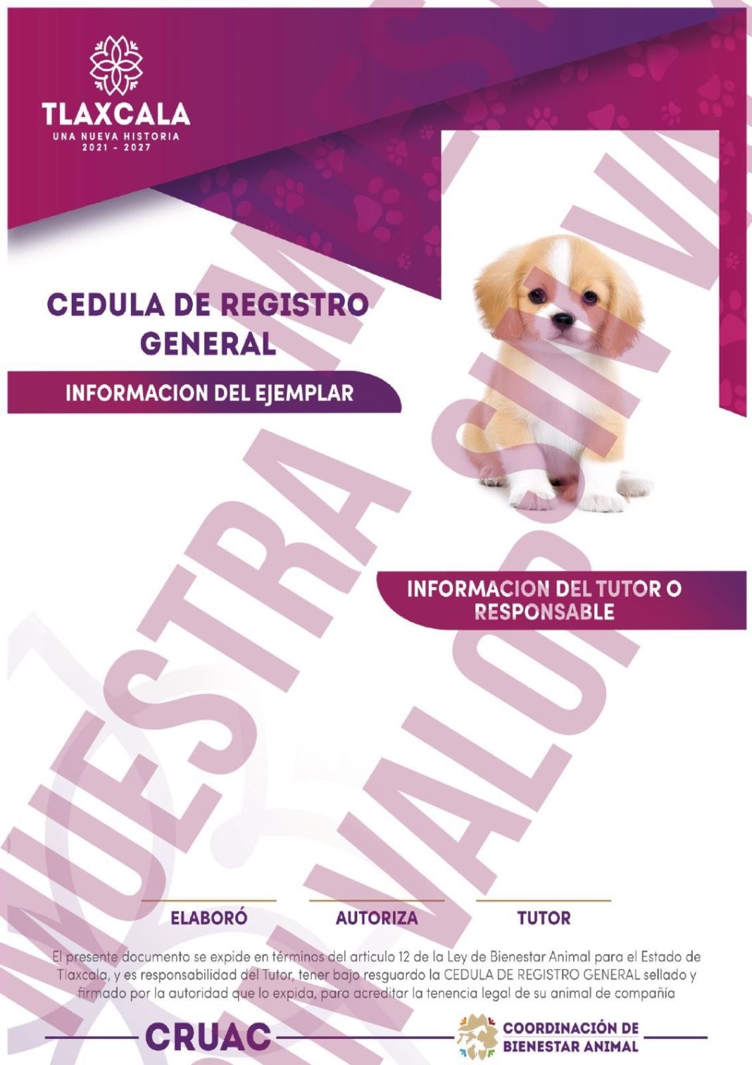 En Ixtenco, mascotas sin registro podrán ser retenidas y sus dueños multados