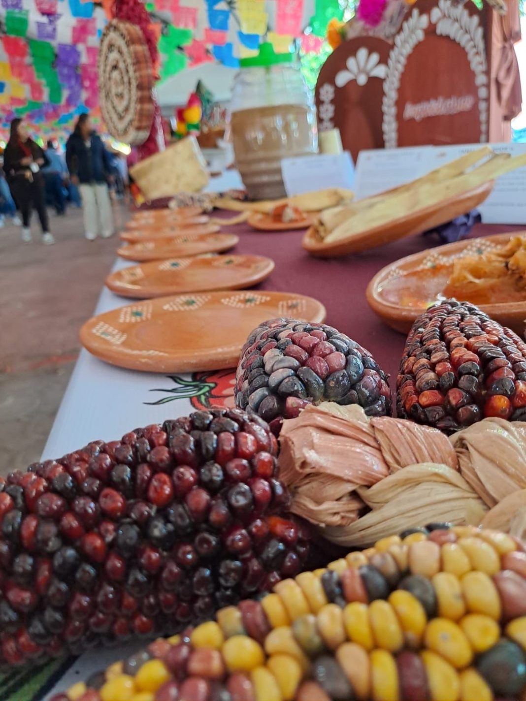 Ixtenco participa en la muestra gastronómica “500 años nutriendo con sabor” con el tradicional Mole de Matuma