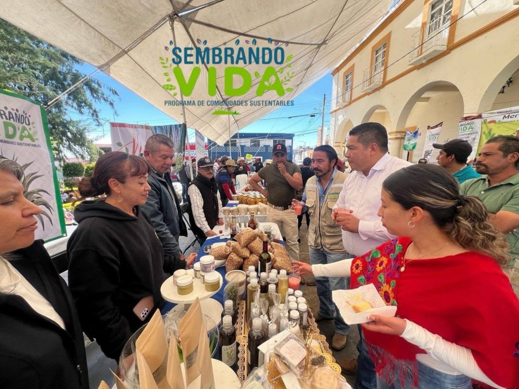 El alcalde Luis Alberto Huerta Hernández recorrió hoy cada uno de los puestos del tianguis «Sembrando Vida», conviviendo con productoras y productores de nuestro municipio y del estado. 👨🌾🌱