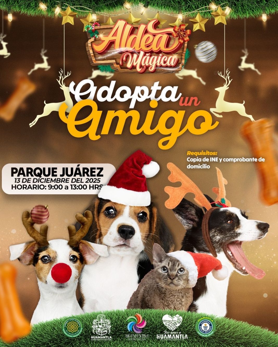 Invitan a sumarse a la jornada de adopción “Adopta un Amigo” en el Parque Juárez