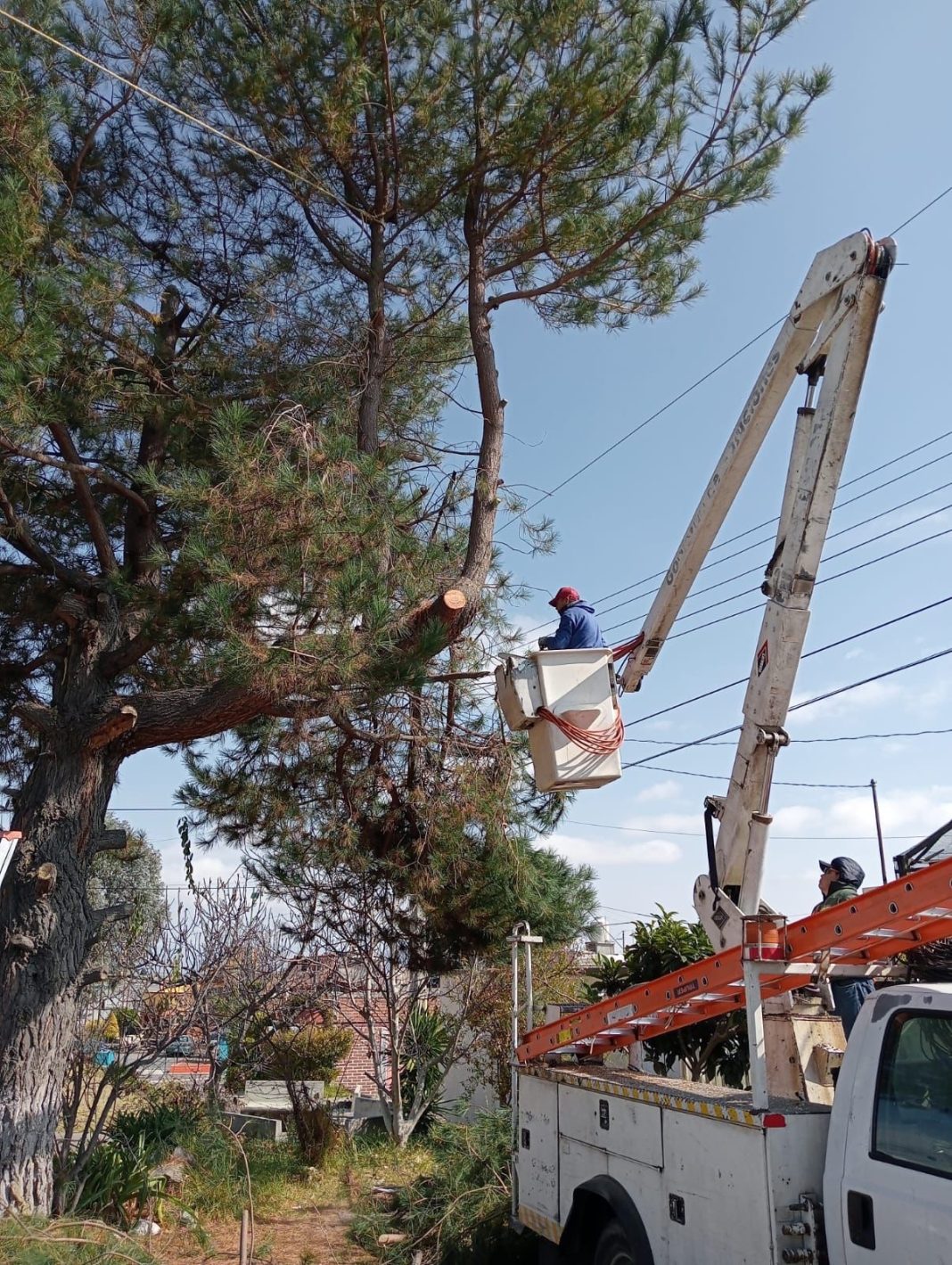 Brigadas de Servicios Municipales trabajan diariamente en beneficio de Huamantla