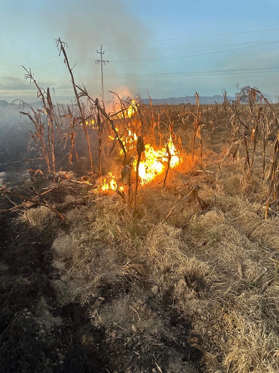 Protección Civil atiende y sofoca seis incendios en el municipio de Ixtenco