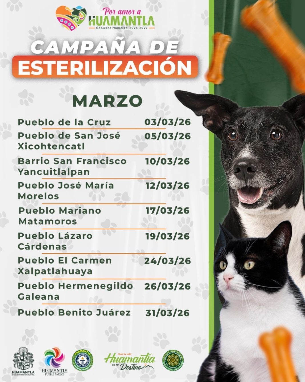 GOBIERNO MUNICIPAL DE HUAMANTLA REALIZARÁ CAMPAÑA DE ESTERILIZACIÓN DE PERROS Y GATOS