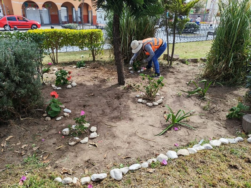 CUADRILLAS DE EMPLEO TEMPORAL AVANZAN EN EL EMBELLECIMIENTO DEL PARQUE DE IXTENCO